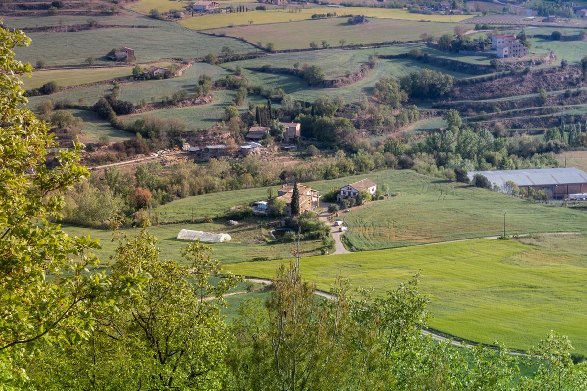 obulaskenky's tweet photo. Landscape shades of Green.
📍Solsonés

#landscape_captures #landscape #landscapephotography
#catalunya #catalonia #photographylovers #photography #dronephotography #obulaskenky #travel #nature #naturephotography https://t.co/ERJKkwEPzt