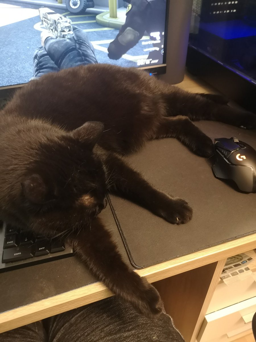 NaddyCSGO's tweet photo. @aquaismissing Aiming is hard 😭😹 https://t.co/z25gqX5tif