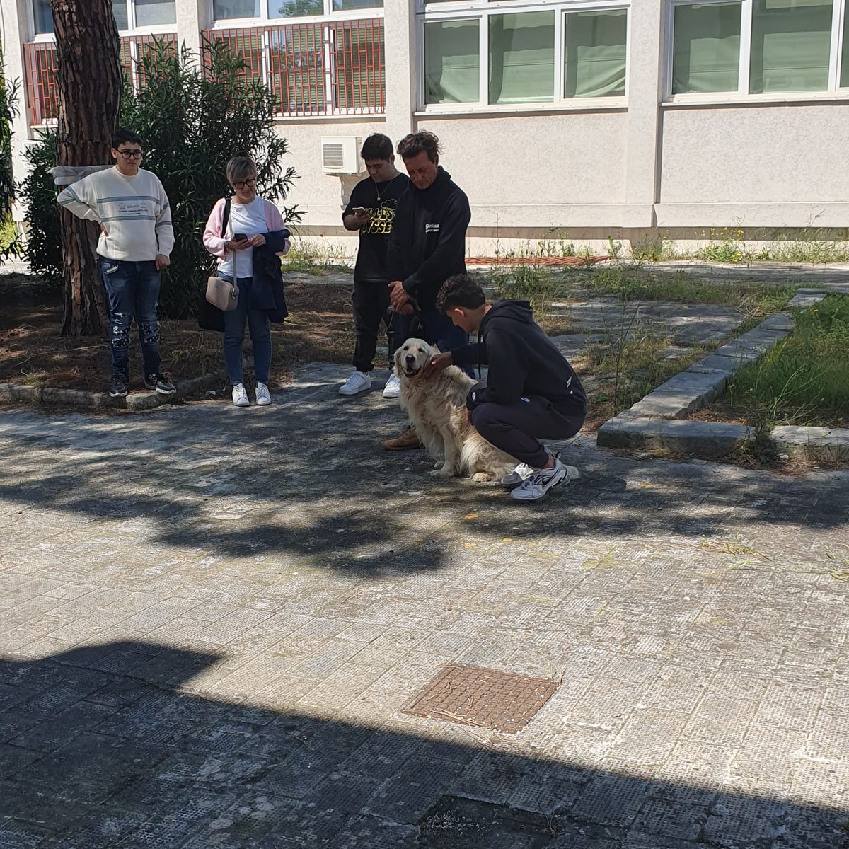 LisideTaranto's tweet photo. Appuntamento #CinofiliaAscuola" 
Antonio Mele, responsabile tecnico e istruttore cinofilo dell'Antek Dog School e il suo staff di educatori stamattina  hanno  incontrato i nostri ragazzi 👏👏👏 @ComuneTaranto @RegionePuglia @MIsocialTW @MiC_Italia https://t.co/duF63E1d5X