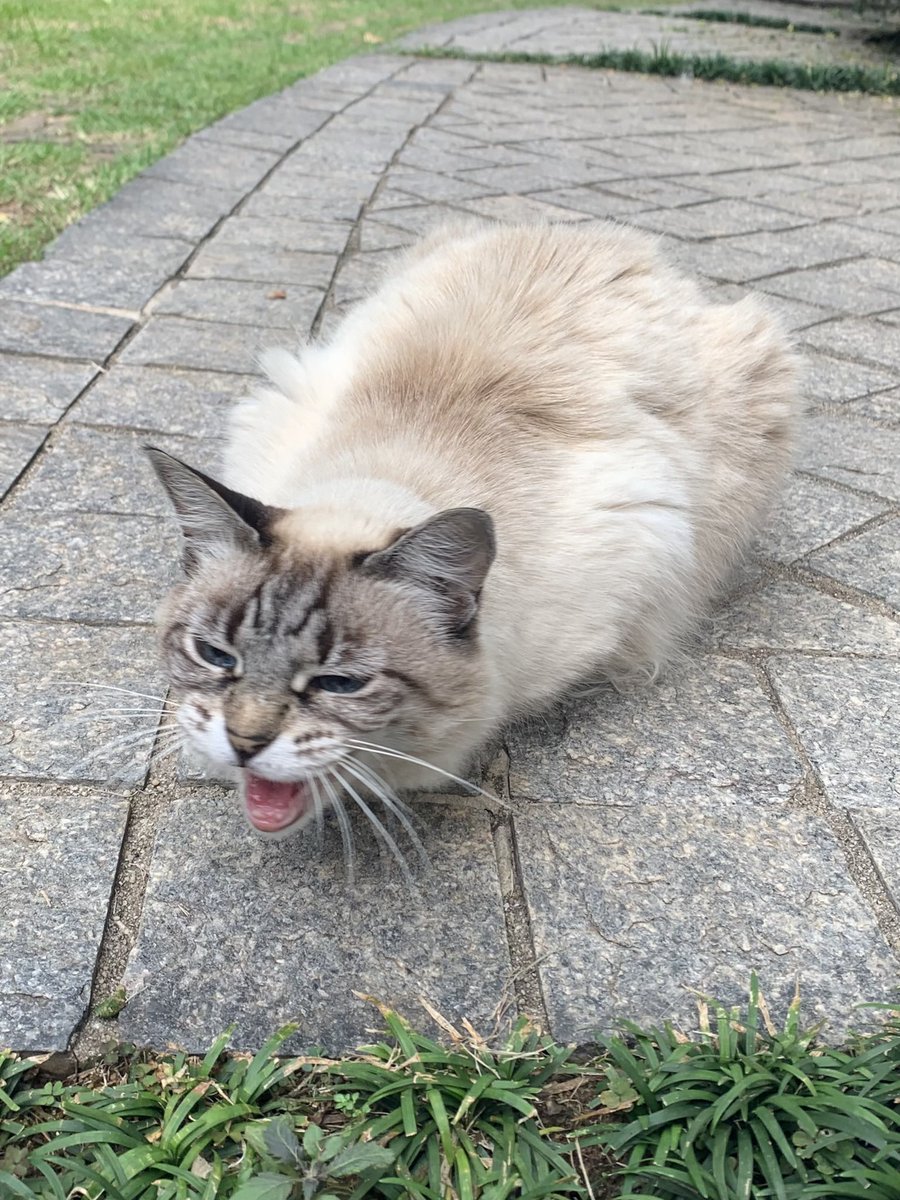 The Ultimate Pathetic Loserman Awards tweet media