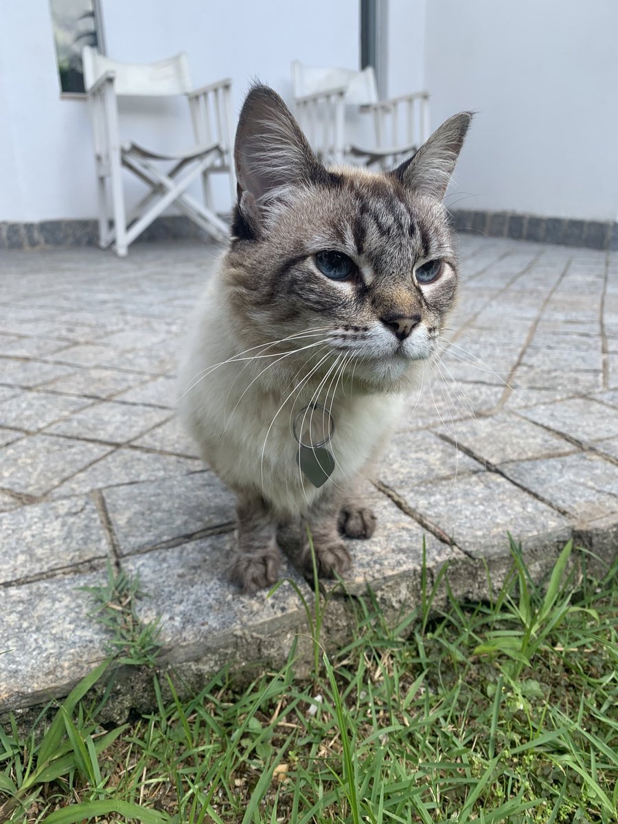 The Ultimate Pathetic Loserman Awards tweet media