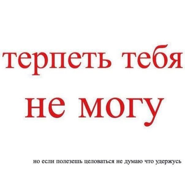 Фэнцины в рандомный период времени такие типа: