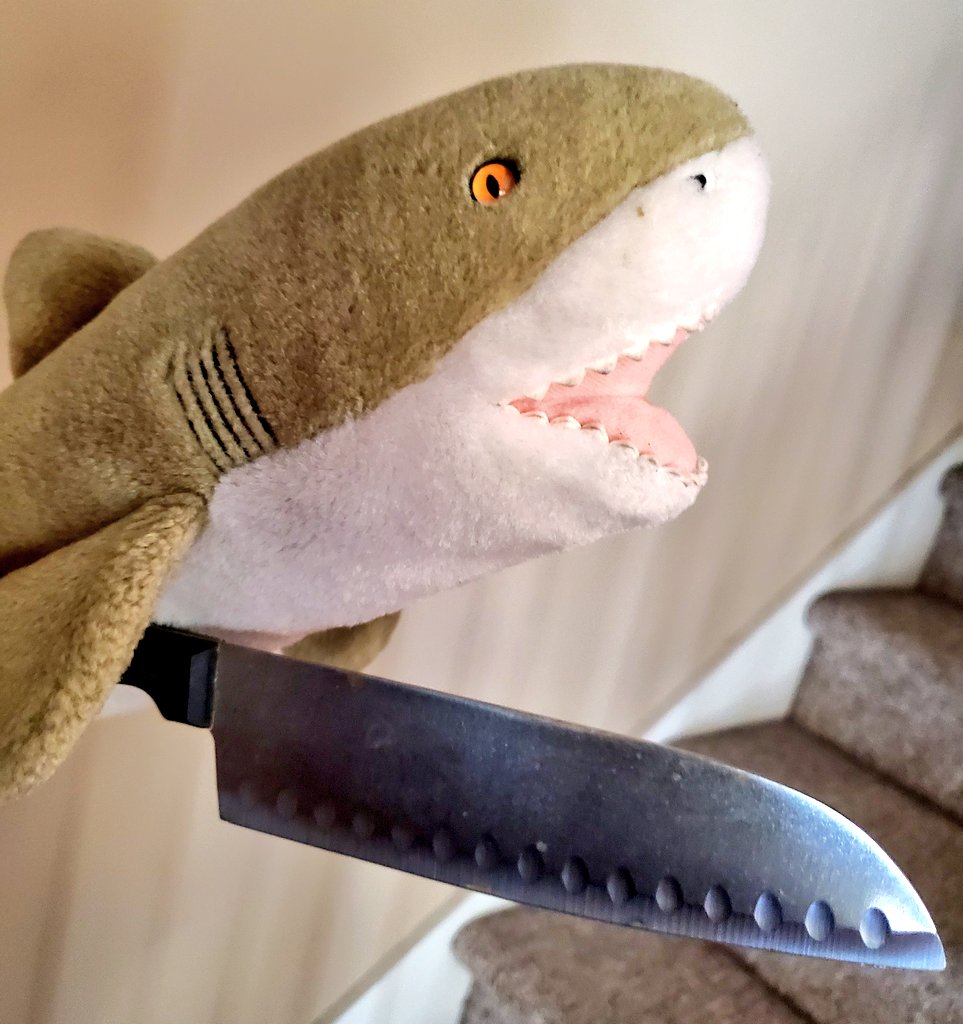 sharktruse's tweet photo. This tweet is threatening you to drink water https://t.co/Jf5ATC7GqP
