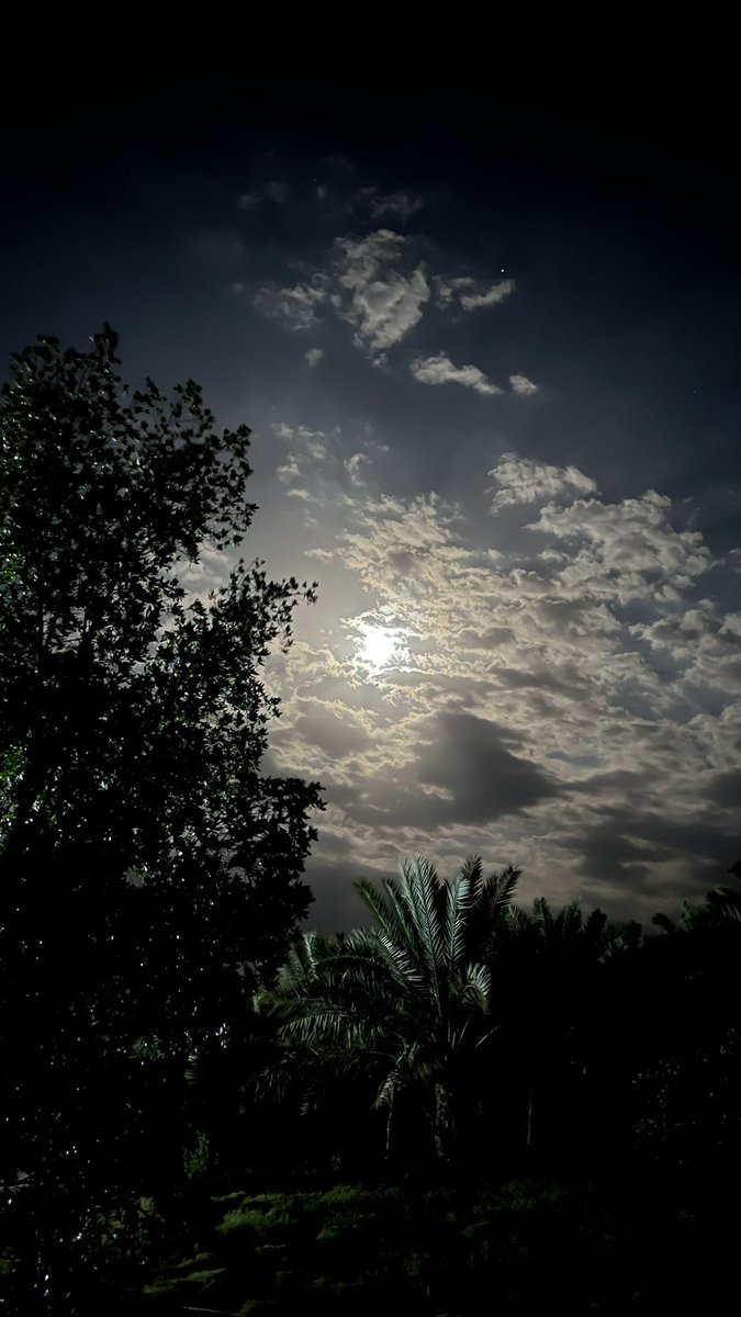 طبتم وطاب مسائكم 🤍

#قمر 
#تصويري 
#الهلال 
#اورارا_الهلال