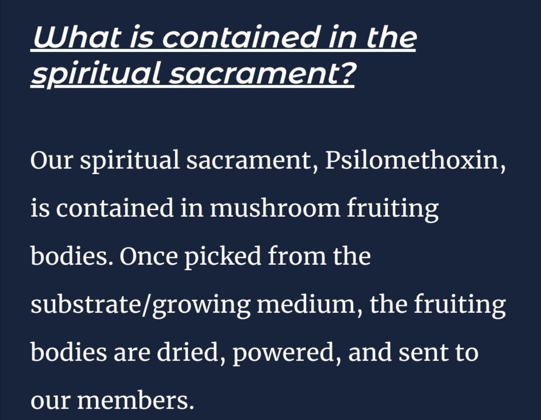 GordoTEK tweet media