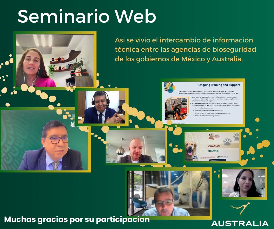 AusAgMexico's tweet photo. Los temas de la agenda incluyeron: el programa de entrenamiento, las instalaciones, el equipo, la evaluación de personal, el proceso de selección y evaluación canina, fijación y extinción de aromas.🐾
Agradecemos a todos por su participación en este gran evento.  🐕‍🦺 https://t.co/02lq5zz1Le
