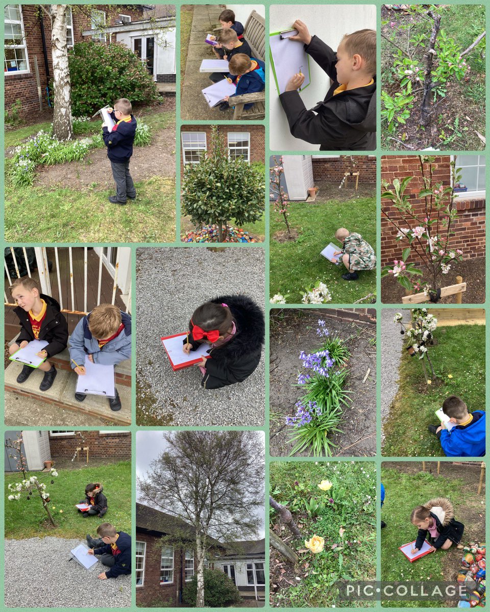 FRISroom7's tweet photo. In our science lessons we have been learning about the parts of a plant. We decided to explore our school garden and make observational drawings of the plants we could see. #FRISScience https://t.co/QRIOJggaoy