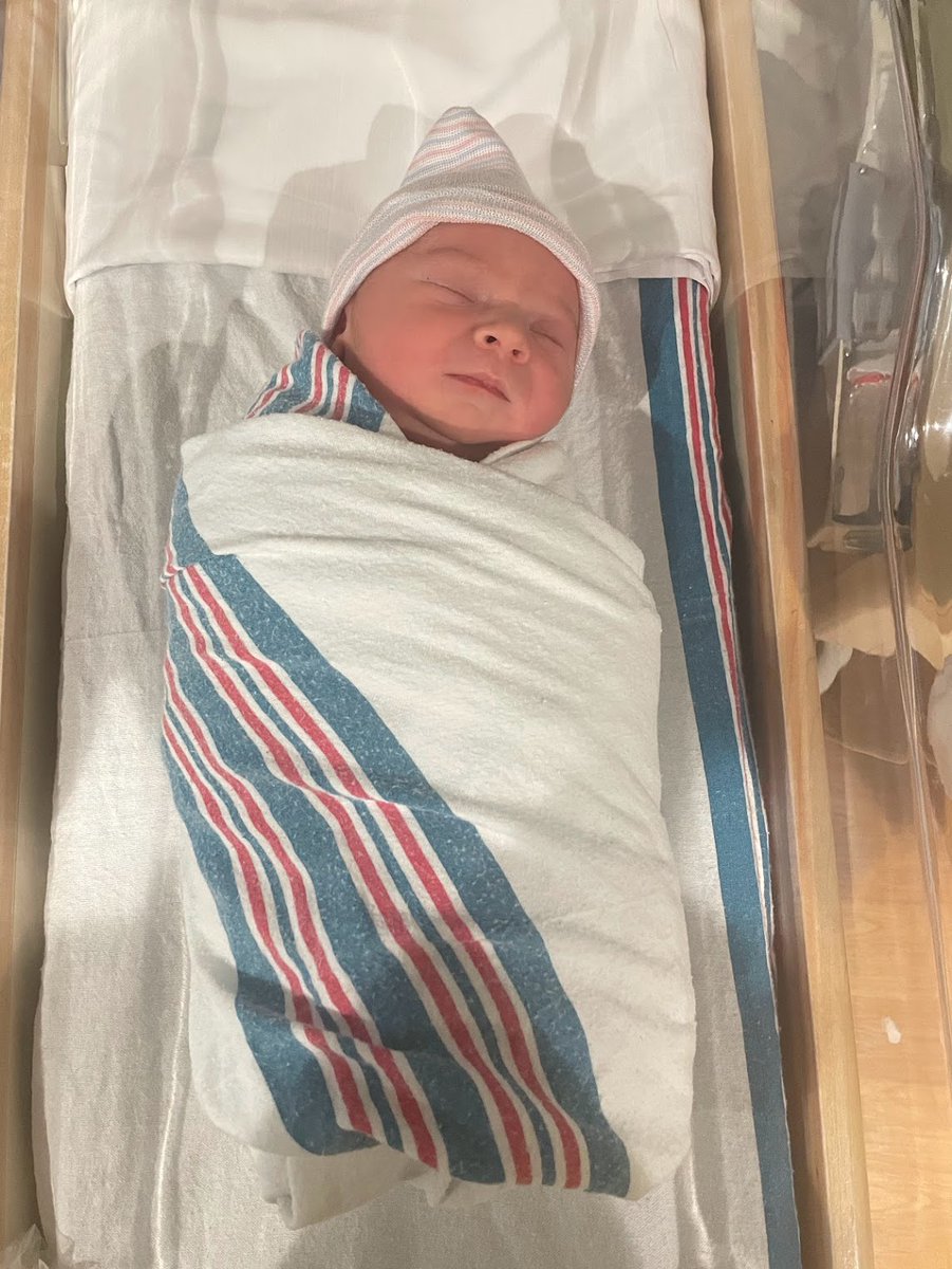 I don't know who's even still on this hellsite, but new baby dropped. Her interests include screaming for 6 hours overnight and looking angelic while being walked in our bassinet stroller.

She and my wife are both healthy and safe at home.