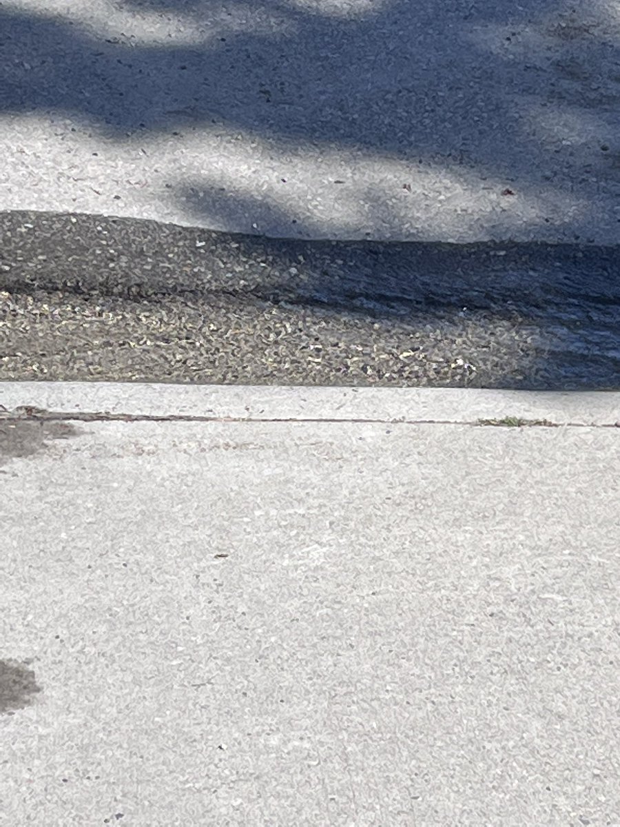 HappySAHD tweet media