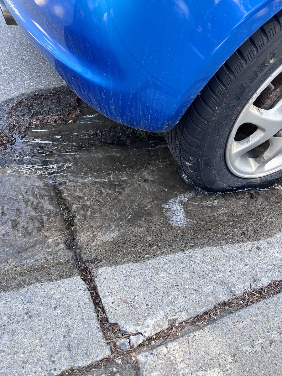 HappySAHD tweet media