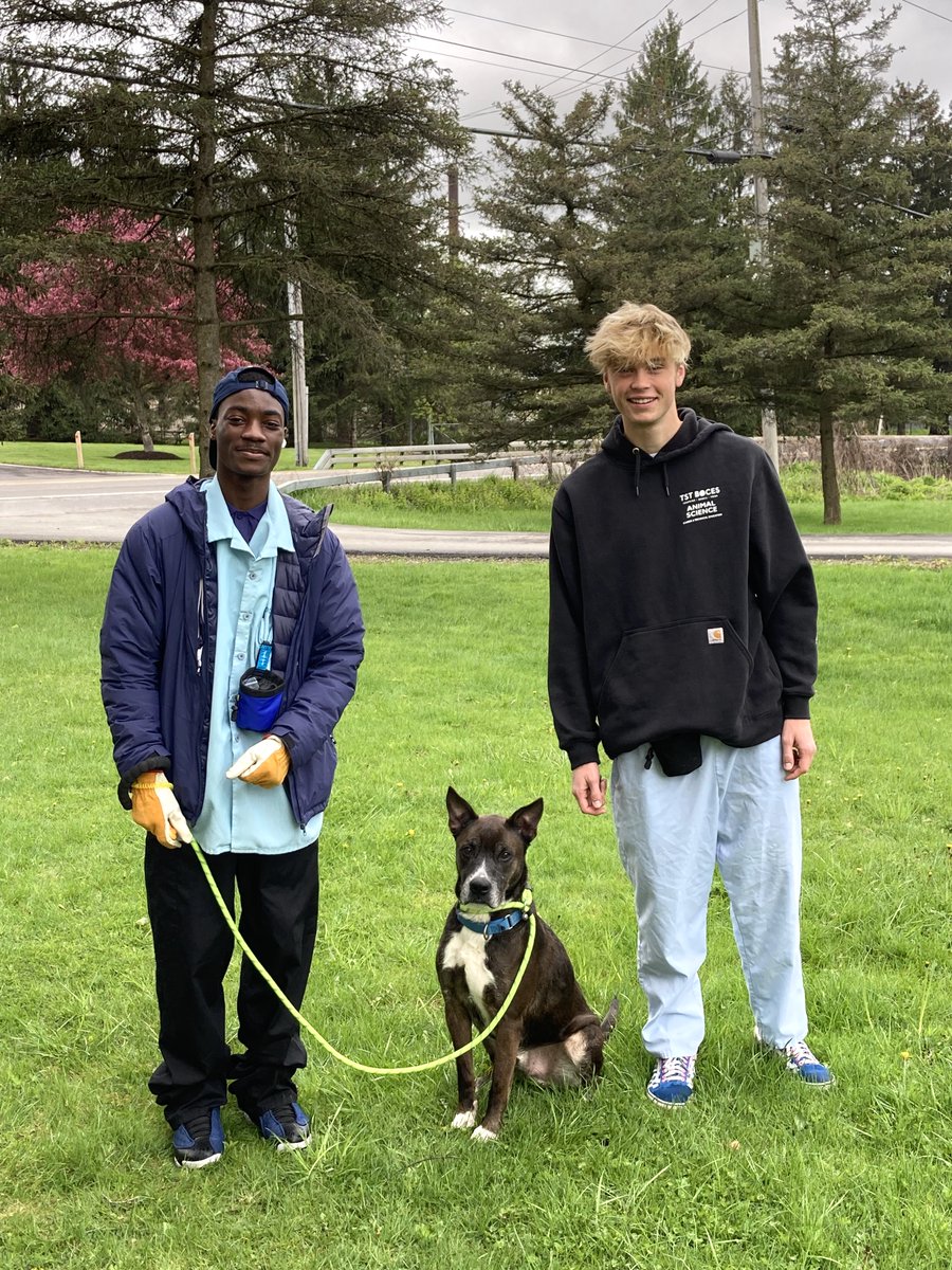 TST BOCES tweet media