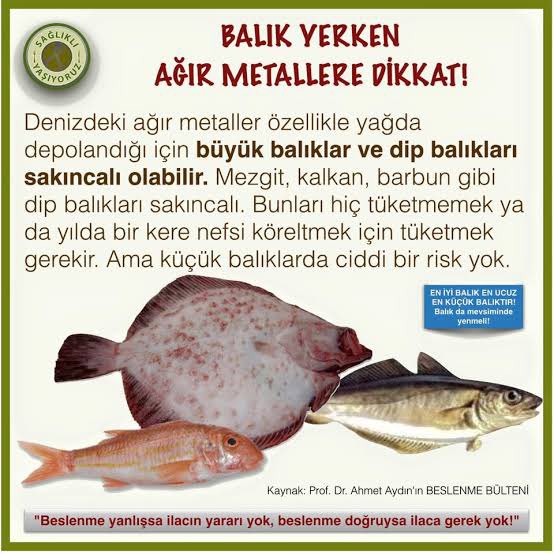 Beslen100's tweet photo. #balık #balıkçılık #balıkmevsimi #omega #saglıklıyaşam #saglıklıhayat  #eykozünversesi https://t.co/ZIbl1Lkf1r