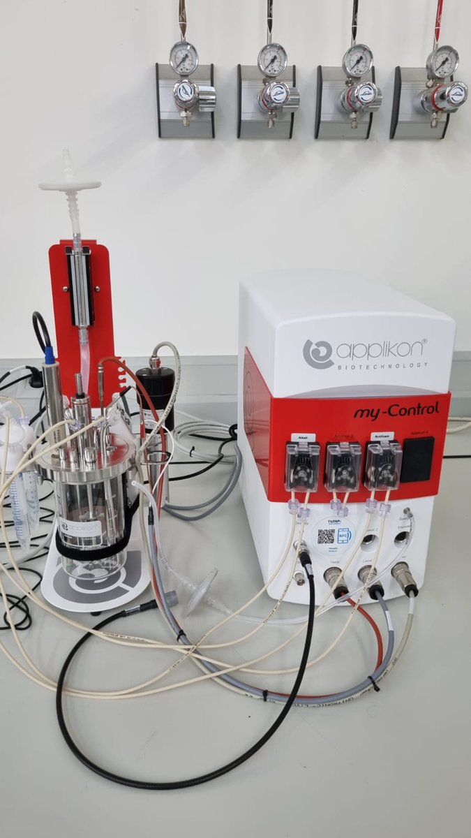 We are happy to introduce our new lab member! Excited to start optimizing protein production on a semi-pilot scale within the frame of  Proof of Concept project from <a href="/AgEInves/">Agencia Estatal de Investigación</a> @eurenext at <a href="/iata_csic/">IATA CSIC</a>!