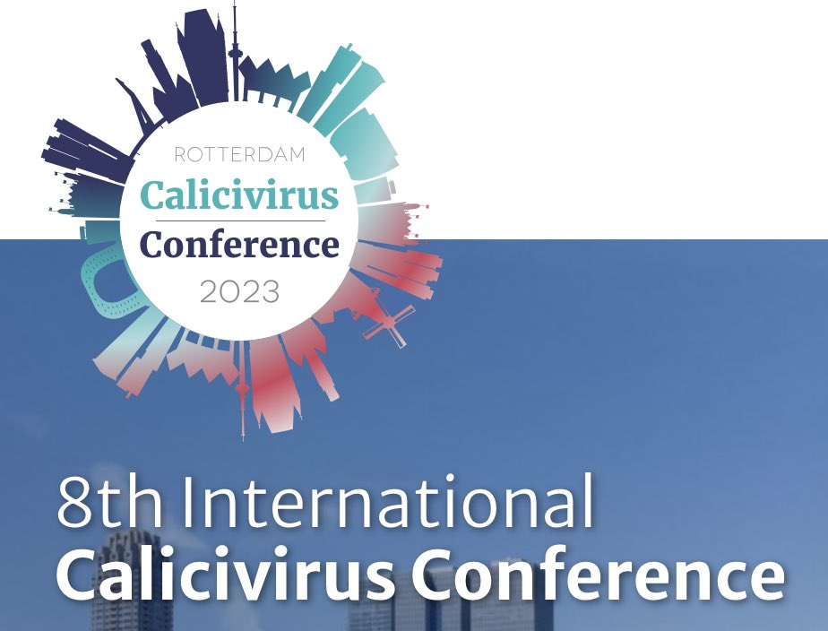 On my way ✈️ to the 8th International #Calicivirus Conference! Looking forward to see everyone in Rotterdam
 #LoveVirology #calciumsignaling #viroporin