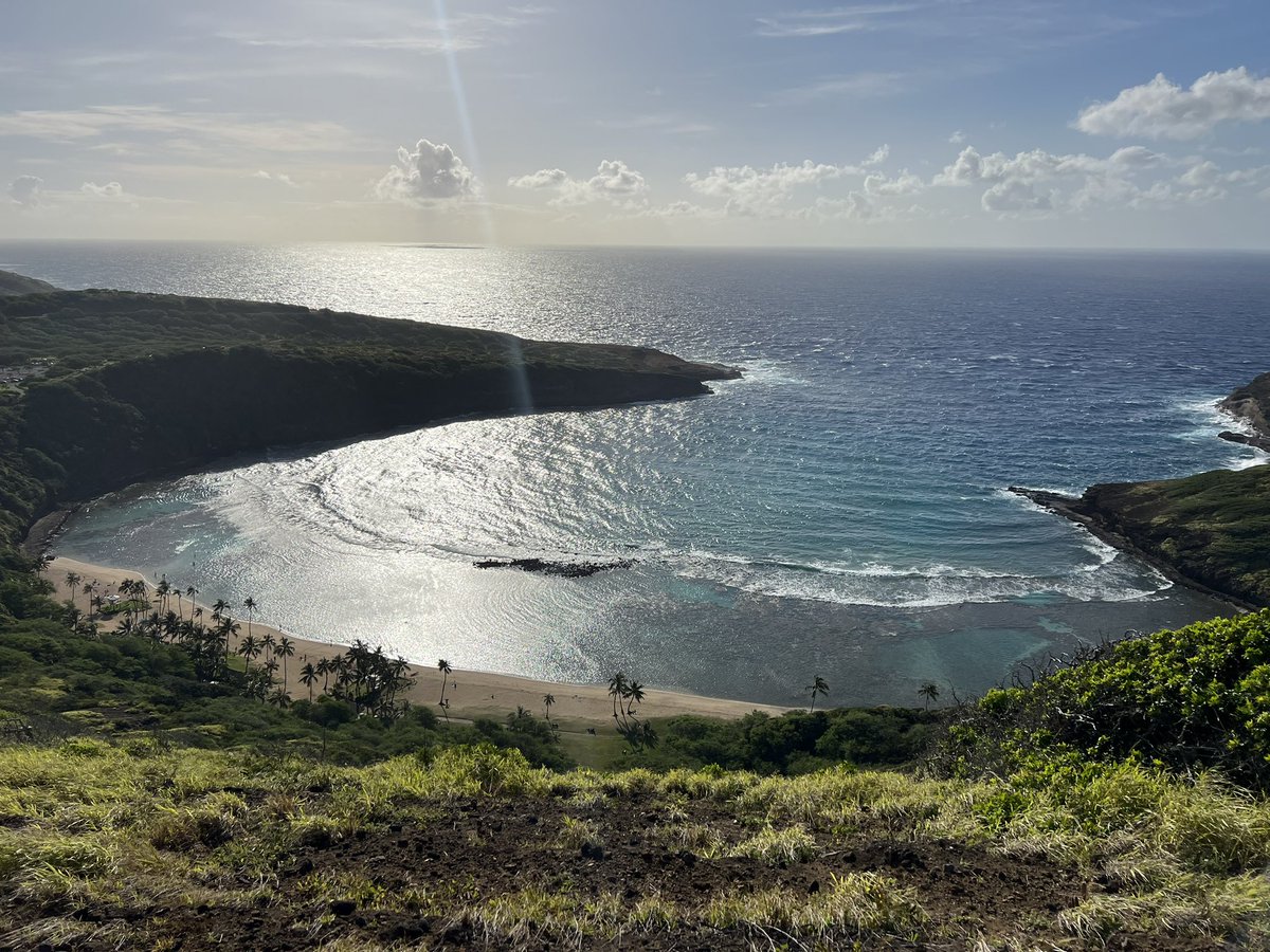 Catherine Toth Fox tweet media