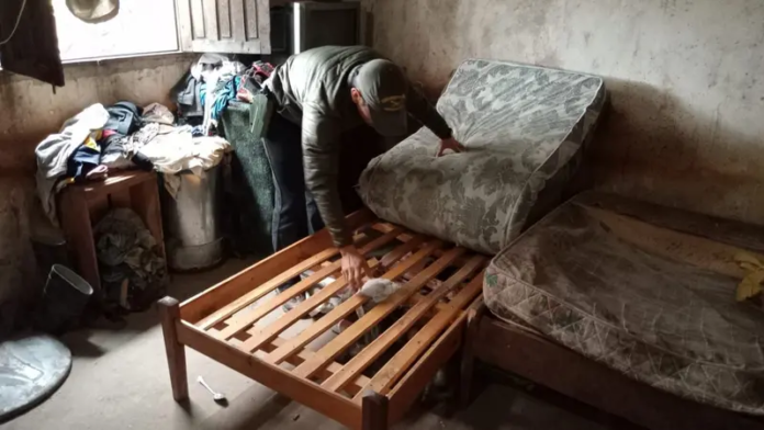 Vía Szeta tweet media