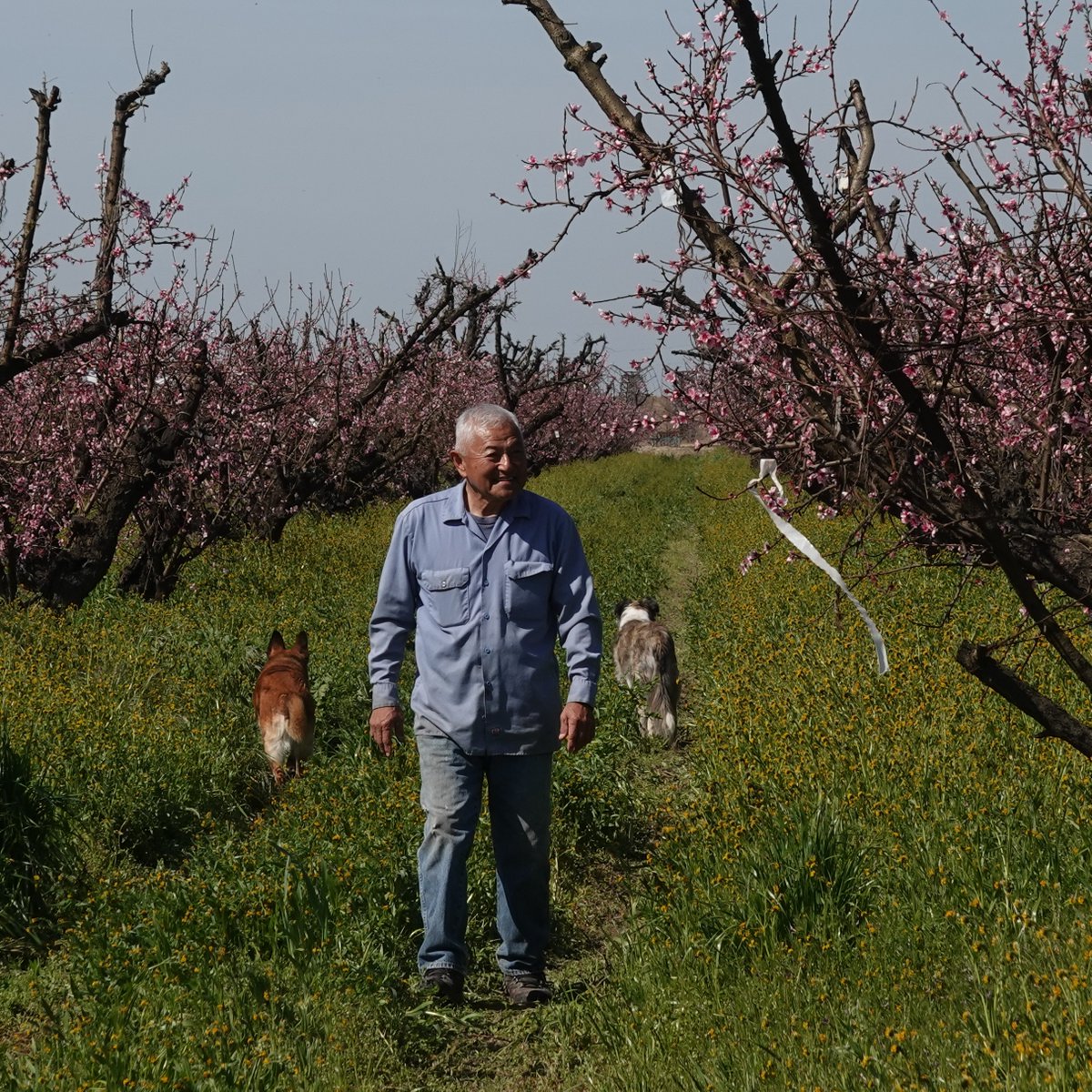 California Foodways tweet media