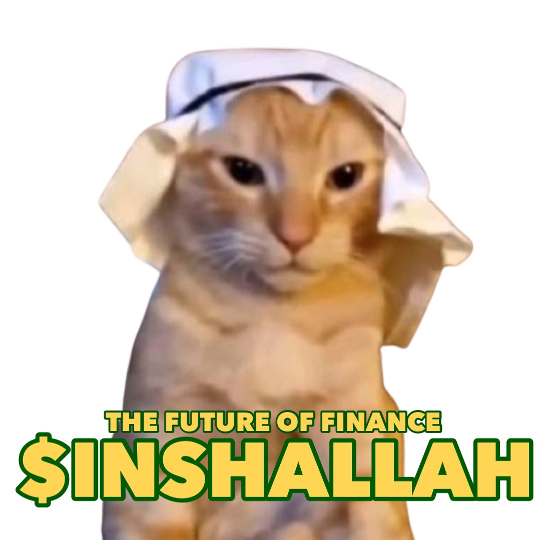 InshallahCoin's tweet photo. DO YOU BELIEVE IN THE FUTURE?  

INSHALLAH https://t.co/fYVJdfkFKa