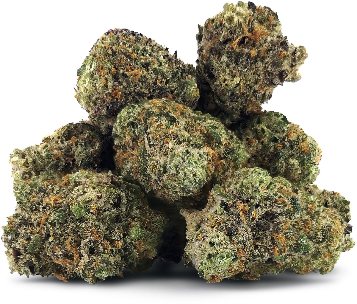 knowyourDEALR's tweet photo. @SmokerFarms NEW RARE
 Sativa cultivar  
✨Triple Mint Trainwreck✨ 
is NOW available for Direct Delivery in BC🎉 This exotic strain has an extended lineage of Mint Chocolate  Chip x Triple OG crossed into Pineapple Trainwreck. Proudly brought to you by BC Black✔️ https://t.co/r1fKtDzXIF