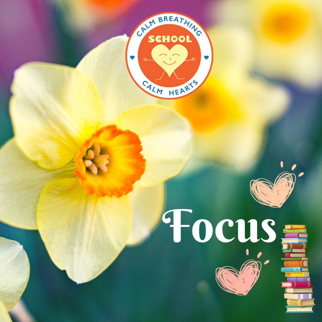SCHOOL_Yoga's tweet image. When too excited, our focus is difficult to harness. Calm Breathing Calm Hearts helps us feel peaceful for our best focusing skills and an eagerness to learn. 💛📚💐🧡

#SmilingCalmHearts #SELProgram #SCHOOLYogaLibrary #nonprofit #yogaforteachersandkids #OurHeartsAreCalmToday