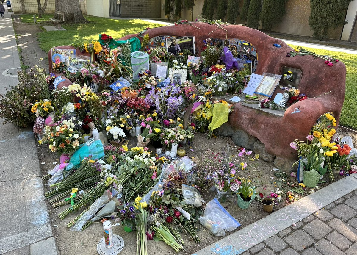 phylogenomics's tweet photo. I went by the memorials for Karim and David this AM and the sun was shining, birds were singing and it felt like some sort of renewal. Here are some pics - more later https://t.co/db3VrmGb5Y
