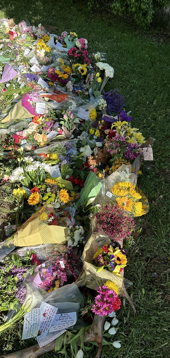 phylogenomics's tweet photo. I went by the memorials for Karim and David this AM and the sun was shining, birds were singing and it felt like some sort of renewal. Here are some pics - more later https://t.co/db3VrmGb5Y