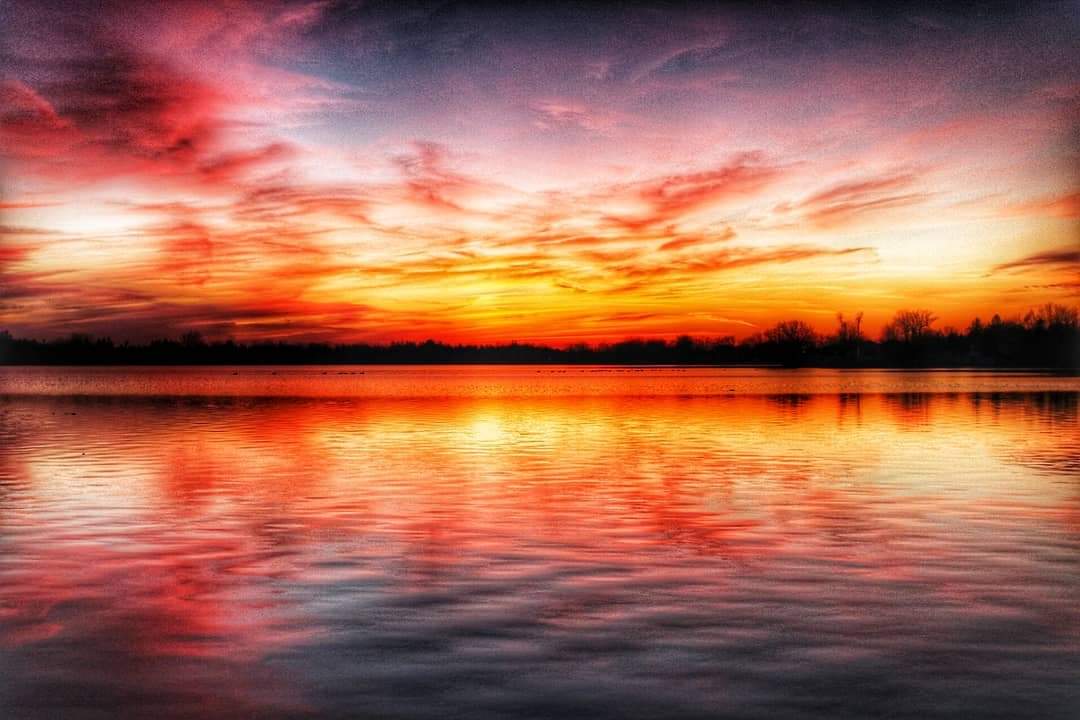 MariamJKarim's tweet photo. Sunset on fire #sunset #ThePhotoHour #sunsetvibes #spring2003 #sunsetshimmer #sunsetparadise #nature #naturelovers #photooftheday #NaturePhotography #nofilter #sunsetonfire #sunsetphotography #richmondhill #yorkregion #Toronto #lakewilcox #canonphotography #Peaceful https://t.co/uzsGajNmmS
