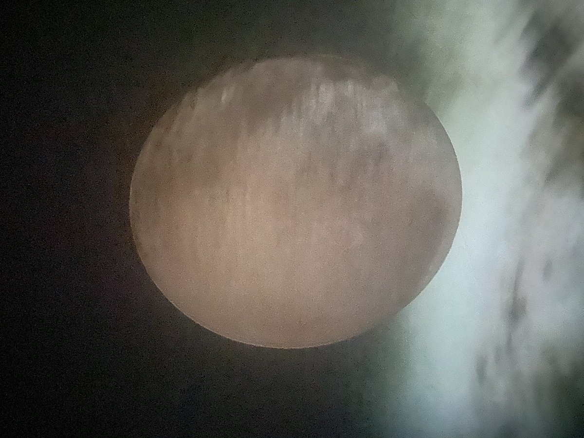 Glebe Primary School tweet media