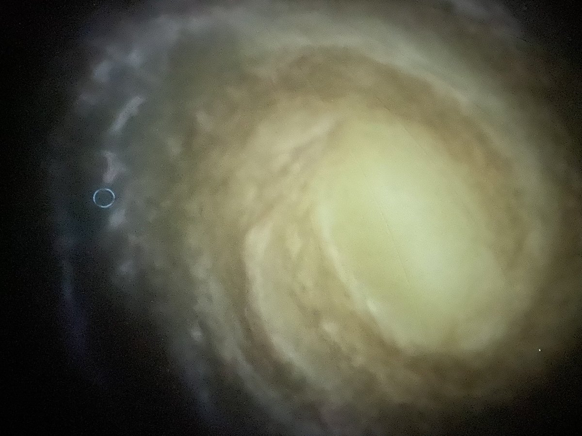 Glebe Primary School tweet media