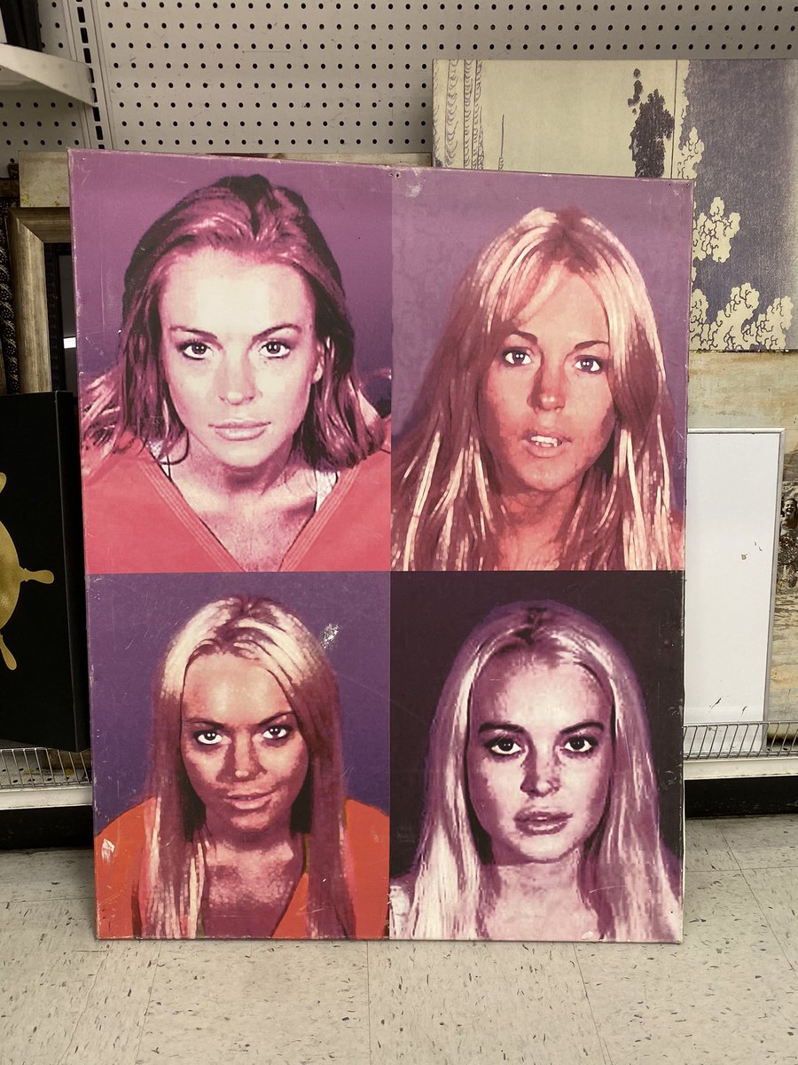 Today I found this giant canvas of Lindsay Lohan’s mug shots at the thrift