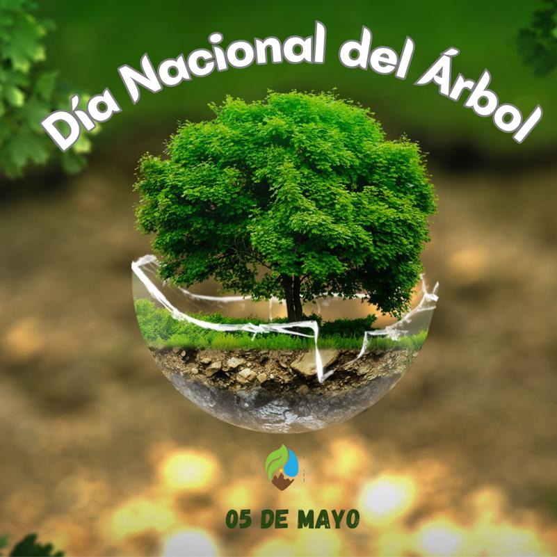Día Nacional del Árbol
Unos de los propósitos principales es crear consciencia de la necesidad de proteger  los bosques y el  valor de nuestra diversidad biológica. No solo plantando árboles, sino también enfrentando la depredación de bosques, incluyendo las áreas protegidas.