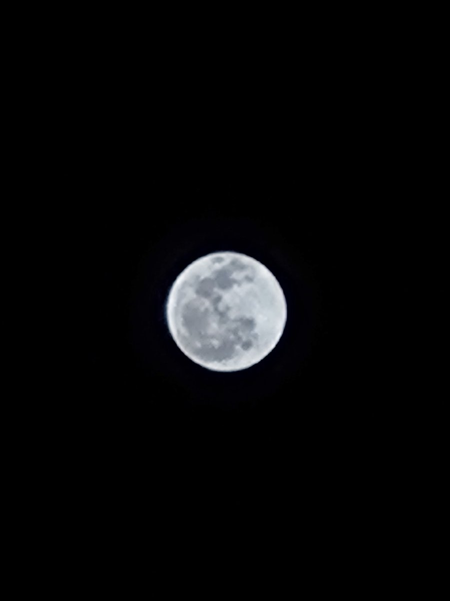_UnknownLad's tweet photo. Obsessed with the Moon. ✨ https://t.co/Zv4tgMxiTZ