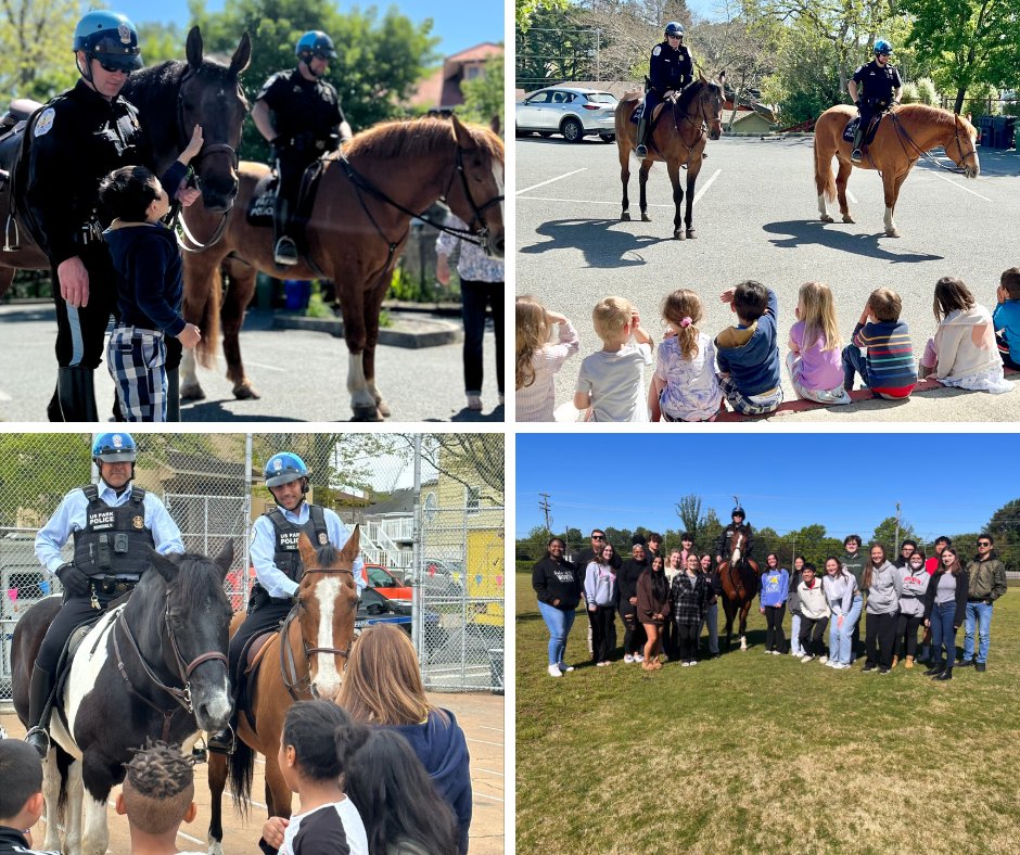 USPPNEWS tweet media