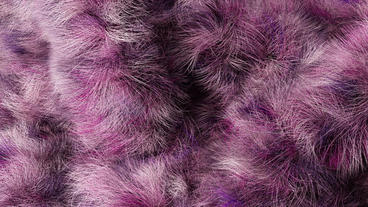 colorblex's tweet image. Recent grooming exploration 

#sidefx #houdini #grooming #vellum #hair #fur #3D