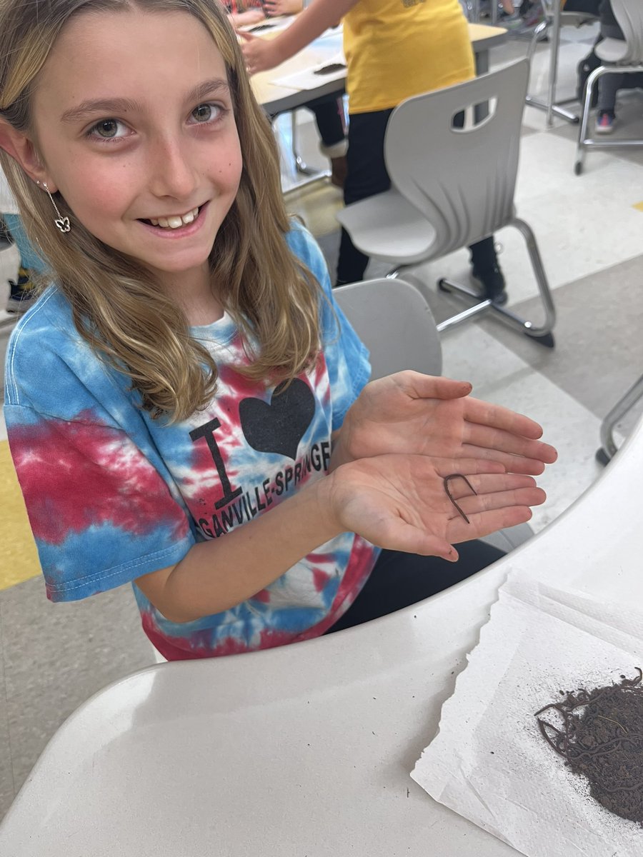 DAISLibrary's tweet image. 4th grade enjoyed digging into worm composting from @YorkSolid #DayofScience 🪱