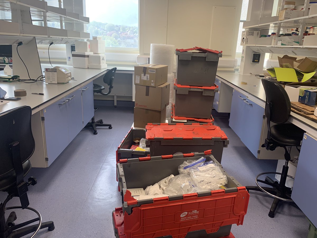 Dr Maria Fragiadaki tweet media