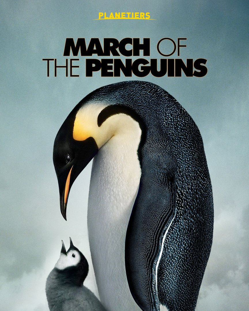 March of the Penguins showcases the annual journey of Emperor penguins, narrated by Morgan Freeman. Not just a heartwarming movie - it sheds light on the challenges penguins face, including habitat loss, pollution, and climate change.

Check the trailer
swki.me/7Jw3Omcm