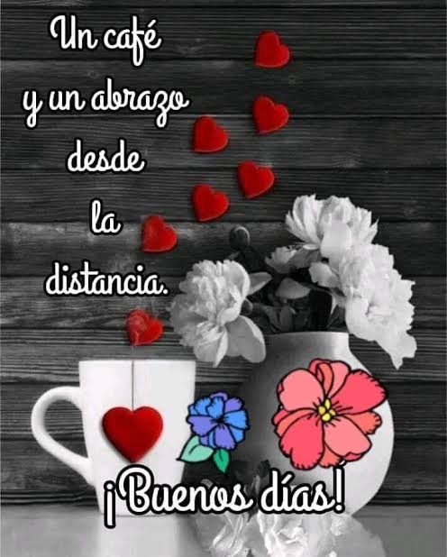 Buenos días 🌻