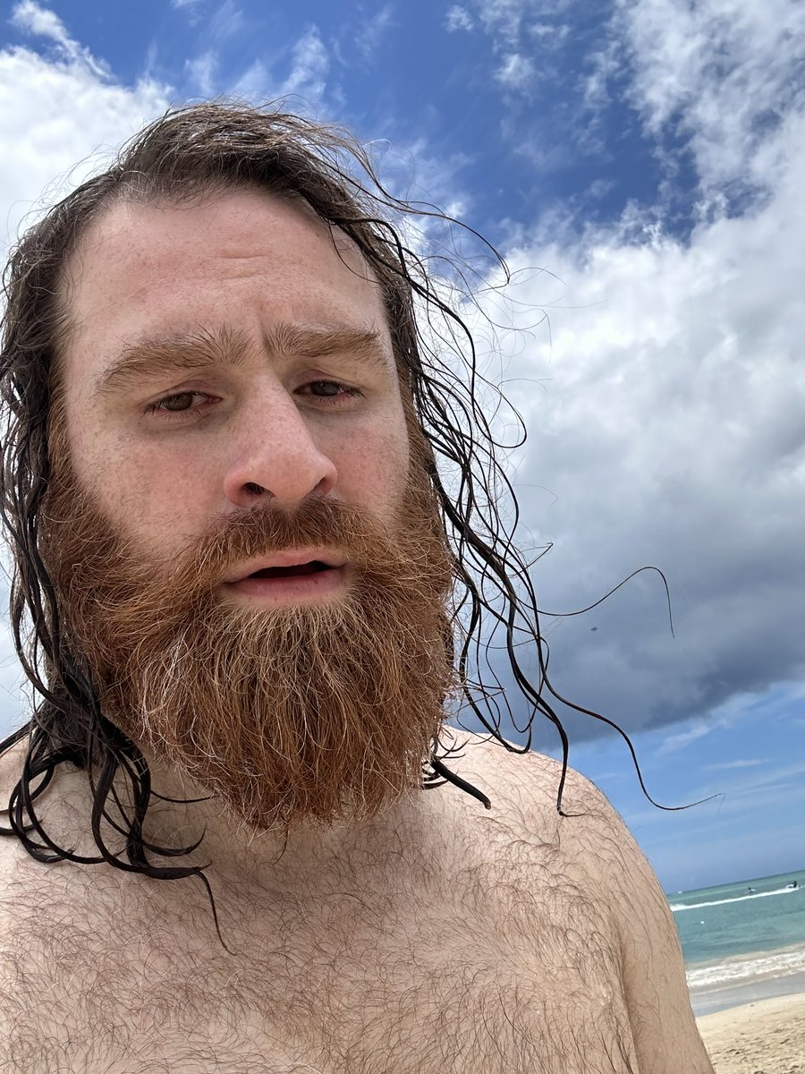 Sami Zayn On Twitter What Year Is It sami-zayn-on-twitter-what-year-is-it