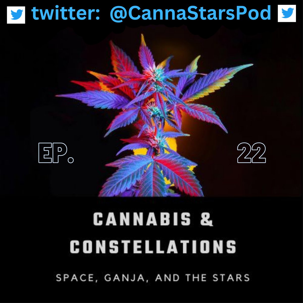 have you ever seen a star move? 👀----
#CannabisAndConstellations #Aviation #Space #SpaceTravel #MentalHealth #MentalIllness #SelfImprovement #CannabisCulture #Aerospace #Astronomy #Wellness #Psychedelics #Astrophysics #SelfHelp #Marijuana #Health #Mindfulness #ScienceFiction