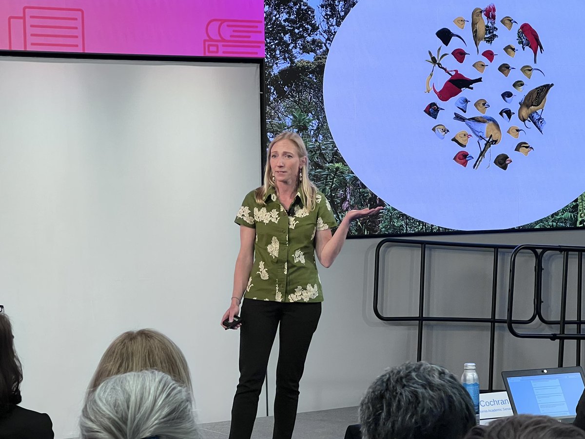 UofCalifornia's tweet image. Christa Seidl, Ph.D. in ecology and evolutionary biology @ucsc, is working to prevent extinction of birds in Hawaii due to mosquito-borne avian #malaria @MauiForestBirds @birdsnotmosquitoes #GradSlam