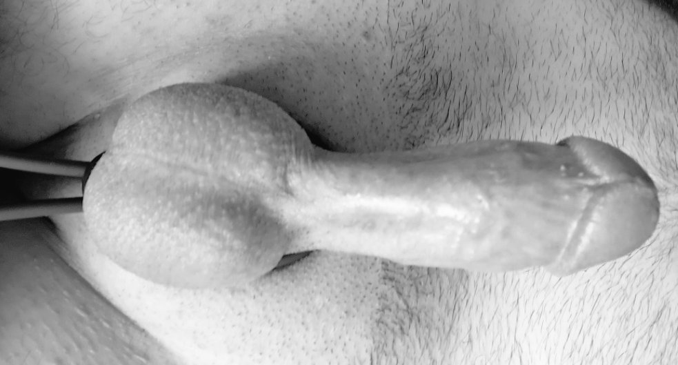 Crazy_Nuts333's tweet photo. Gefällt euch nein kleiner geiler Schwanz? #schwanz #penis #steif #sextoy #hoden #dick #Eichel #dickeeier #handjob #wichsen #bisexuell #Hetero #like #shaved #rasiert #geil #notgeil #Hard #fuck #jerk https://t.co/EllcXW4tHu