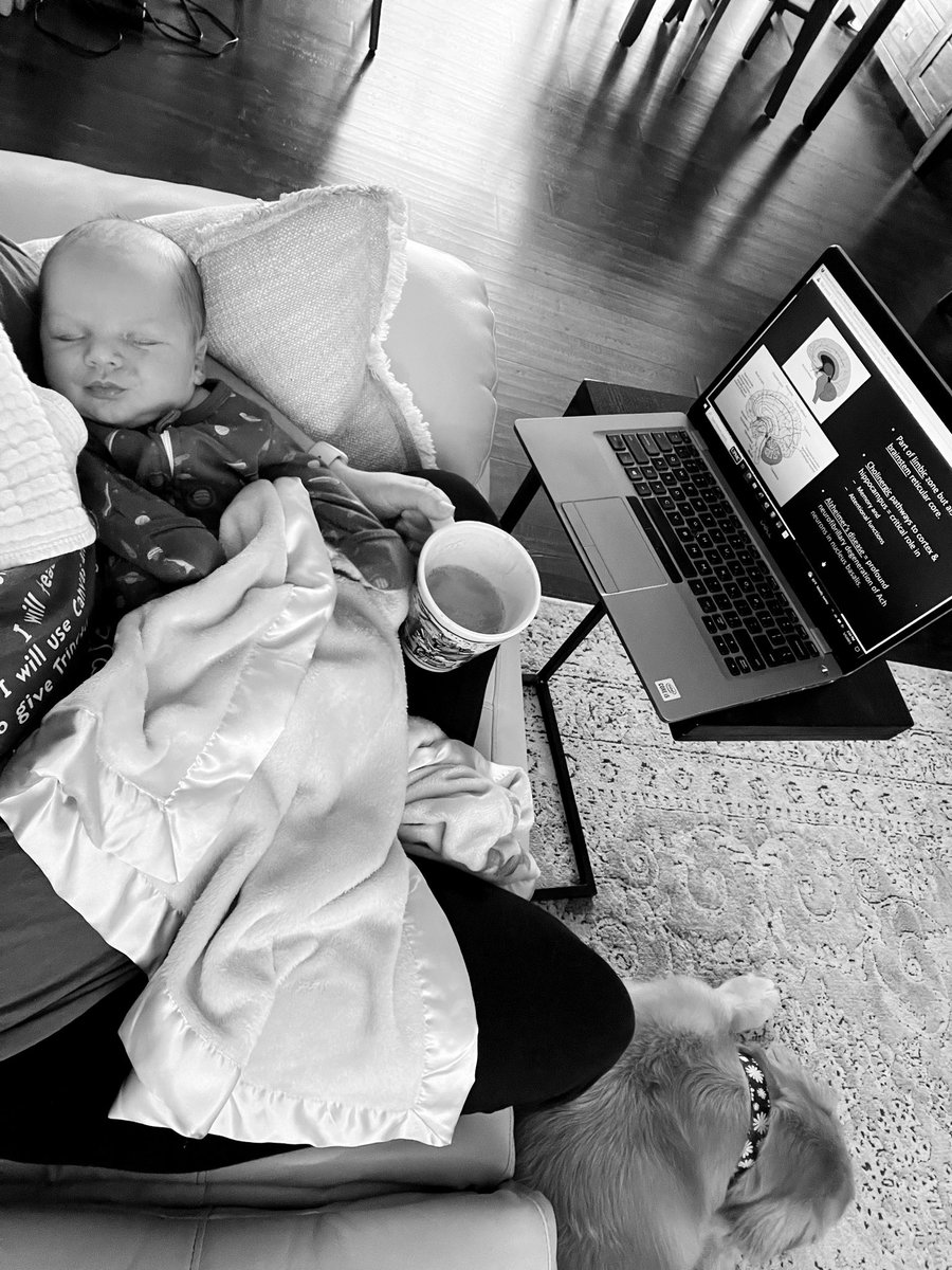 It’s never too early to learn neuroanatomy. #maternityleave #continuinged #multitaskingmama