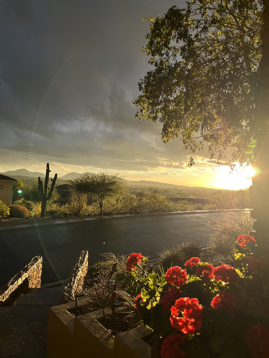 cmurphy702's tweet photo. โค๏ธ these AZ desert views, from my next listing, coming soonโฆ
#movingtoAZ #AZliving https://t.co/DlJkuzkmv0