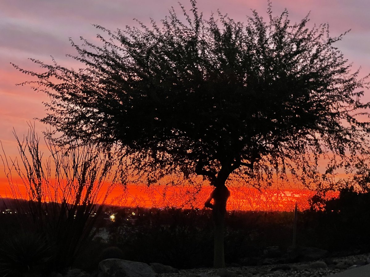 cmurphy702's tweet photo. โค๏ธ these AZ desert views, from my next listing, coming soonโฆ
#movingtoAZ #AZliving https://t.co/DlJkuzkmv0