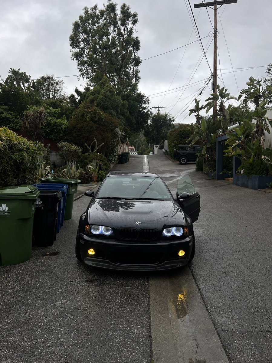 rescuemyshadow's tweet photo. morning shit https://t.co/CTdVizP0ws
