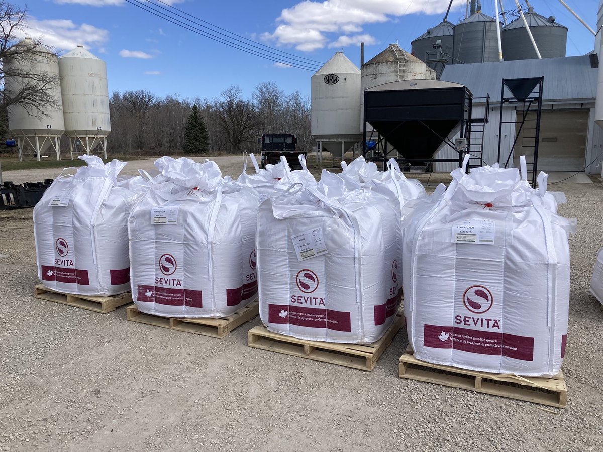 brentkosie's tweet photo. Seed shipping for #plant23 continues! Another load of Rosser Food Grade soybean seed is loaded and rolling. A big thanks to @chrisunger1974 for getting the seed safely to its destination. @Sevita_Int @CeresGlobalSeed #billybigrig https://t.co/sxuS8PRuf4