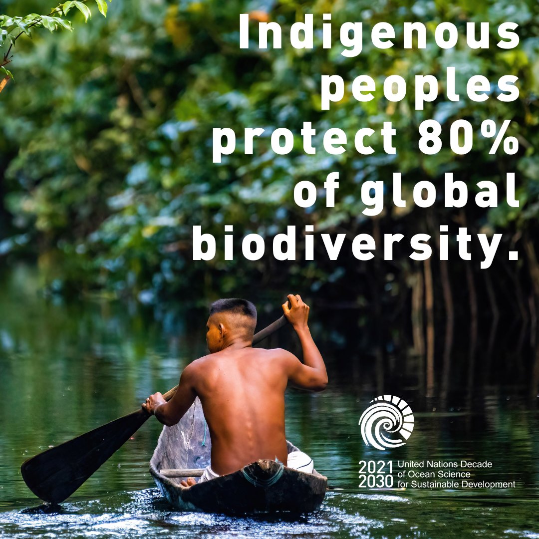 UN Biodiversity (@unbiodiversity) on Twitter photo Despite comprising less than 5% of the world's population, #IndigenousPeoples protect 80% of global #biodiversity
👉bit.ly/445nkBR #OceanDecade #weareindigenous
Via <a href="/UNOceanDecade/">UN Ocean Decade</a>
#BuildBackBiodiversity
#BiodiversityDay Despite comprising less than 5% of the world's population, #IndigenousPeoples protect 80% of global #biodiversity
👉bit.ly/445nkBR #OceanDecade #weareindigenous
Via <a href="/UNOceanDecade/">UN Ocean Decade</a>
#BuildBackBiodiversity
#BiodiversityDay