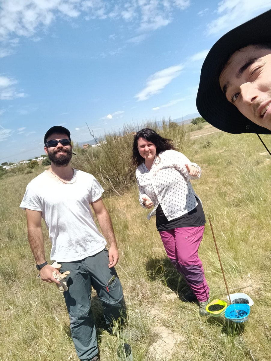FMAzcarate's tweet photo. Hemos comenzado los muestreos de abejas silvestres del proyecto #CONMOSAICO con @VHeviaM @Pepegleznovoa @MariaG_Camargo Juan Molina y Juan Castro (1/3). https://t.co/PcWqIdoXzw