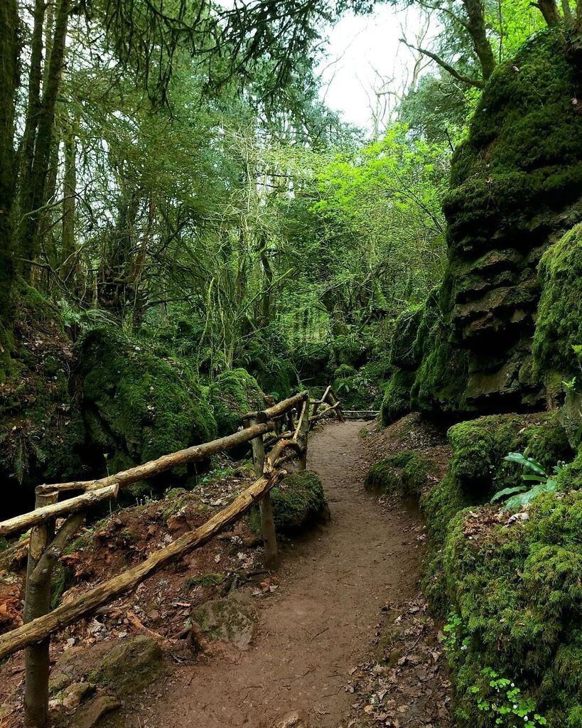 Mumblebug_'s tweet photo. A beautiful day out at @puzzlewoodfod with @jackdarling0612 &amp; Abs.
Such a beautiful forest and so peaceful.

.
.
.
.

#meditation #puzzlewood #woodlandscenics #mindfulnessmeditation #woodlandwalks #wildlifephotography #meditationtools #woodland #woodland… https://t.co/mkC2OgiG7e https://t.co/q0emouQRWS
